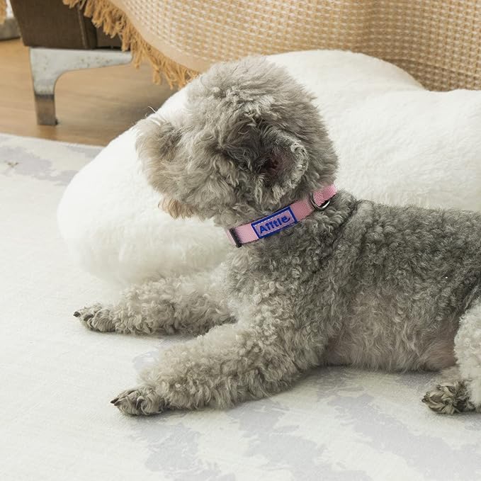 AIITLE Step in Dog Harness Collar Leash Set - Adjustable No Pull Dog Halter Harness - Comfortable Padded Handle - Easy Control for Walking - for Extra-Small Breed Dogs, Pink Gradient XS