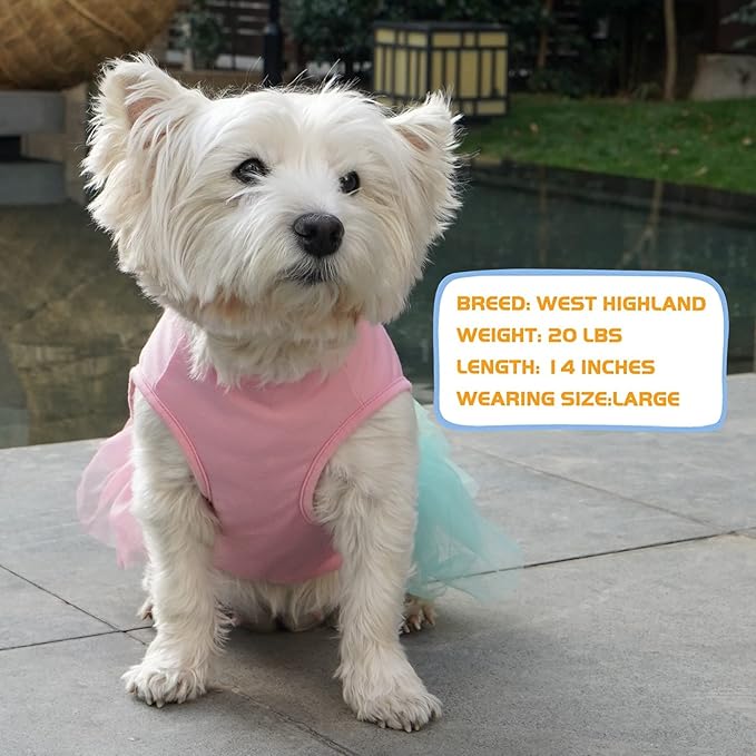 KYEESE Dog Dress Rainbow Tulle Lightweight Dog Dress for Pride Month Small Dogs Doggie Sundress Party Birthday Dogs Dress Skirt L