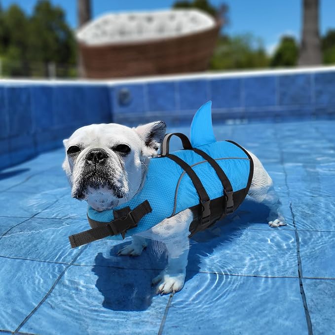 Queenmore Small Dog Life Jacket,Shark Dog Life Vest for Swimming,Puppy Light Life Preserver for Boating Kayaking Canoeing,Pet Lifesaver with High Buoyancy,Rescue Handle,Leash Hook (Peacock Blue,XS)
