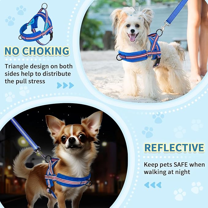 SlowTon No Pull Small Dog Harness and Leash Set, Puppy Soft Vest Harness Neck & Chest Adjustable, Reflective Lightweight Harness & Anti-Twist Pet Lead Combo for Small Medium Dogs (DB-Front Clip, XXS)