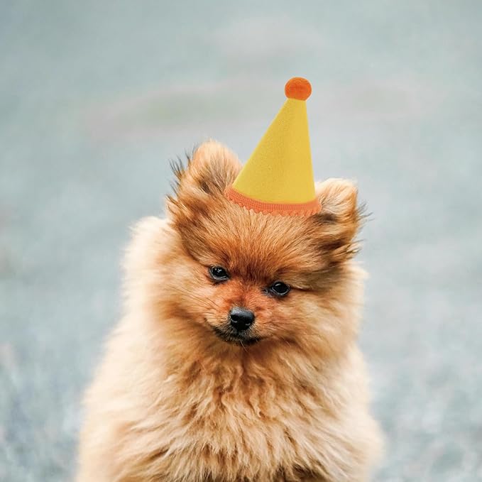 Dog Birthday Hat Set for Small Medium Dogs Cat Puppies, Mini Party Hat with Adjustable Headbands, Cute Pet Hat with Pompons for Birthday Christmas Party Decoration Accessories (Mini 2.5 inch 20pcs)