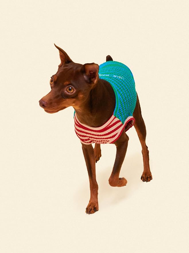 Little Beast Dog Clothes - Pet Clothes for Large, Medium, and Small Dogs (Dog Shirts Come in Multiple Colors and Styles) - Size: X-Large Dogs, Green/Blue