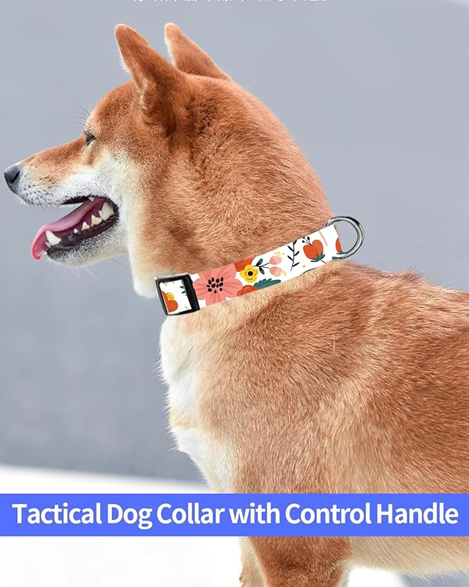 Dog Collar, Cute Dog Collar for Small Medium Large Dogs, Personalized Adjustable Soft Pet Collars with Quick Release Buckle for Walking Running, Cute Red Floral