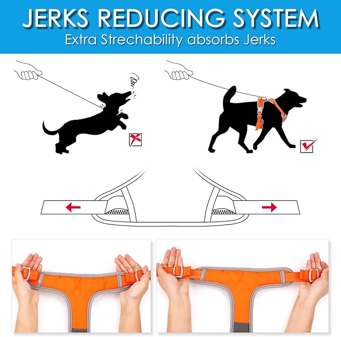 ThinkPet No Pull Harness Set Breathable Sport Harness with Handle - Reflective Padded Dog Safety Vest with Reflective Neon Dog Leash XL Harness Leash Pack Orange