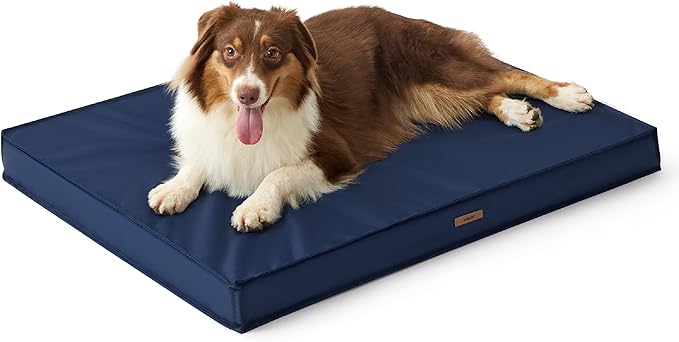 Lesure Outdoor Waterproof Dog Bed for Medium Sized Dogs, Orthopedic Egg Crate Foam Pet Bed with Oxford Fabric Surface and Removable and Durable Cover, Machine Washable, 30''x20'', Navy