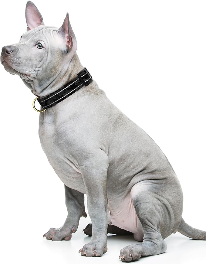 Reflective Dog Collar for Medium Dogs, Cute Camouflage Adjustable Heavy-Duty Nylon Puppy Collar for Boy and Girl Female, Soft Pet Accessories with Quick Release Buckle, Black