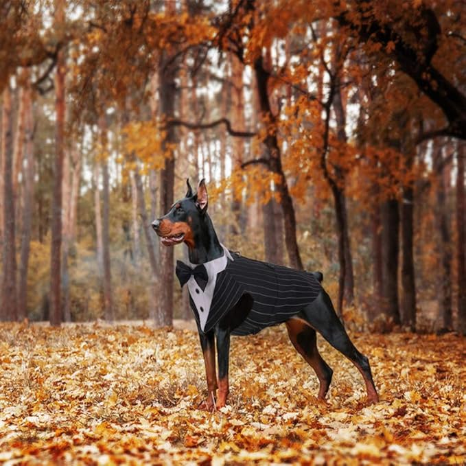 QBLEEV Tuxedo for Large Dogs, Suit and Bandana Set, Wedding Outfit With Bow Tie, Formal Tux Costume for Halloween, Christmas, Birthday Party, Cosplay - Stripe XL