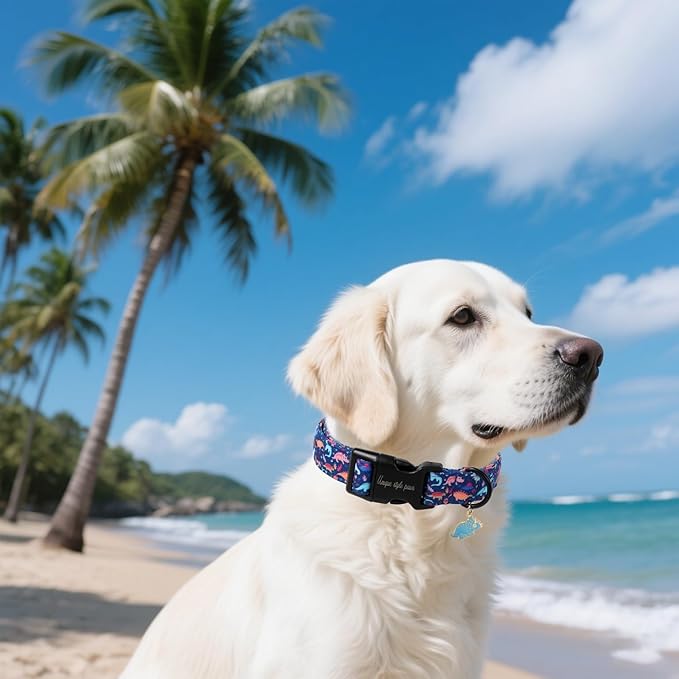 Unique style paws Dog Collar Plastic Buckle with Pendant Blue Dinosaur Park Puppy Collars for Small Medium Large Boys Girls Dogs