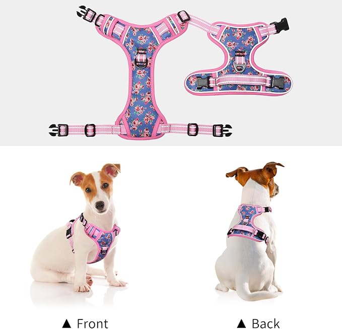 Timos Dog Harness, No-Pull Pet Harness with 2 Leash Clips, Adjustable Soft Padded Dog Vest, Reflective Outdoor Pet Oxford Vest with Easy Control Handle Pink Blue