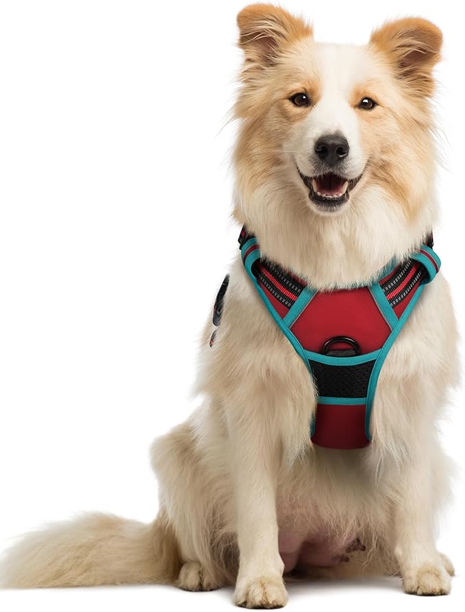 rabbitgoo Dog Harness No Pull with 2 Leash Clips, Adjustable Soft Padded, Reflective Oxford No Choke Pet Vest with Easy Control Handle for Medium Sized Dogs, Red & Teal, M