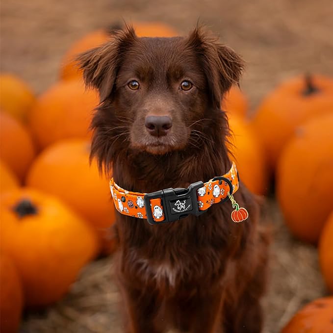 Elegant little tail Fall Dog Collar, Pumpkin Pet Collar Yellow Male Cute Puppy Adjustable Cotton Pet Collars with Quick Release Buckle for Small Medium Large Dogs