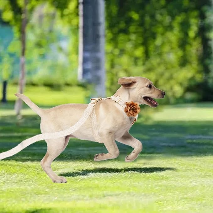 Dog Harness Leash Set Cute Soft No Pull Dog Harness with Comfortable Padded Handle for Dogs Easy Walking,L