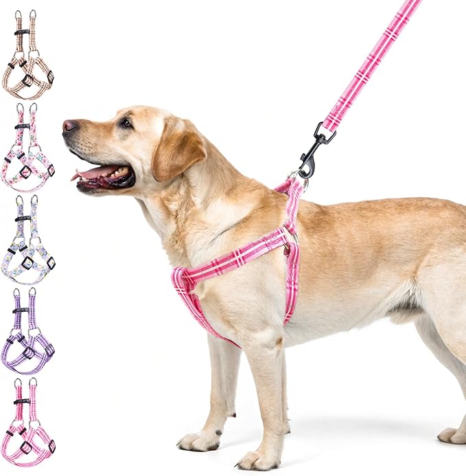 BEAUTYZOO No Pull Dog Harness and Leash Set - Adjustable Step-in Puppy Harness for Medium Large Dogs, Escape Proof Soft Nylon Vest with Double D Ring for Walking Running Training, Pink Plaid L