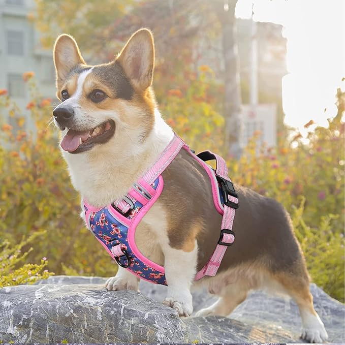 Timos Dog Harness, No-Pull Pet Harness with 2 Leash Clips, 3 Snap Buckles Adjustable Soft Padded Dog Vest, Reflective No-Choke Pet Oxford Vest with Easy Control Handle for Small Medium Large Dogs