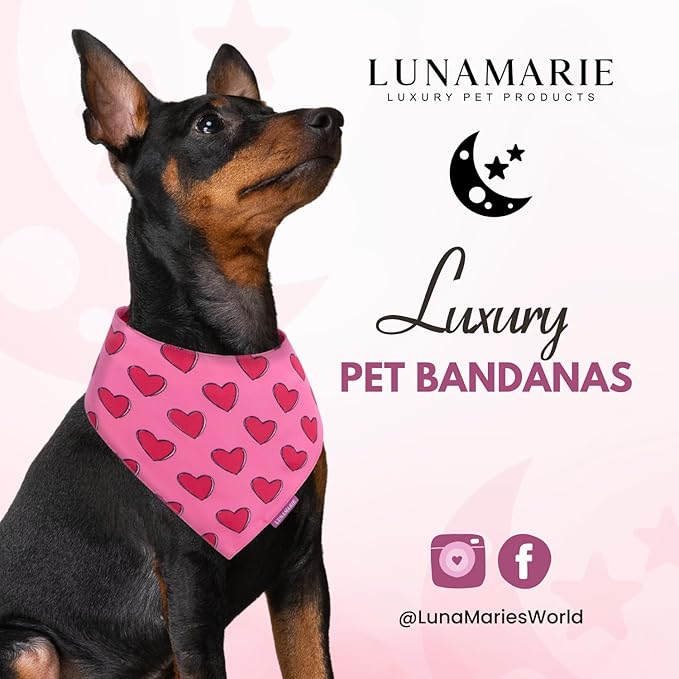 Luxury Pet Birthday Bandanas -Premium & Silky Poly Fabric | 100% Handmade | Custom Shape Dual Layered (Jennifer, Medium)