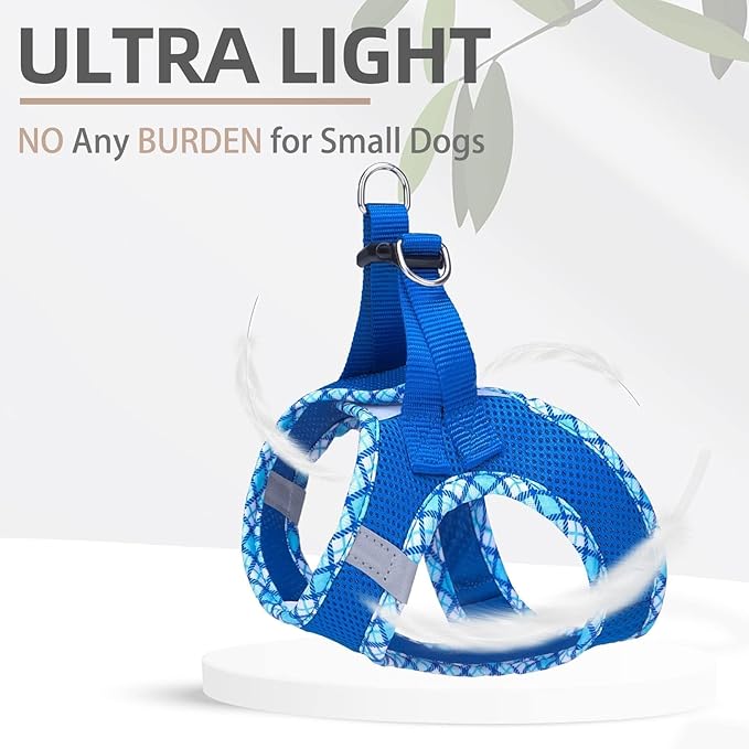 PUPTECK Dog Harness and Leash Set for Small Medium Dogs No Pull Step-in Soft Mesh Puppy Cat Vest Harnesses Reflective at Night, Blue XS