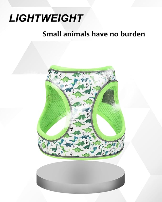 XXS Green Dinosaur Pattern Dog Harness and Leash Set,No Escape Puppy Harnesses for Training Walking，Breathable Adjustable Puppy Vest for Small Medium Dogs, Cats (Green, XXS)