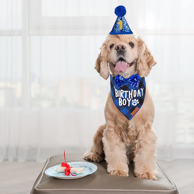 ADOGGYGO Dog Birthday Party Supplies, Multi Size Offered, Blue Birthday Boy Dog Bandana, Pet Party Hat with Numbers Bow for Small Puppies (Small)
