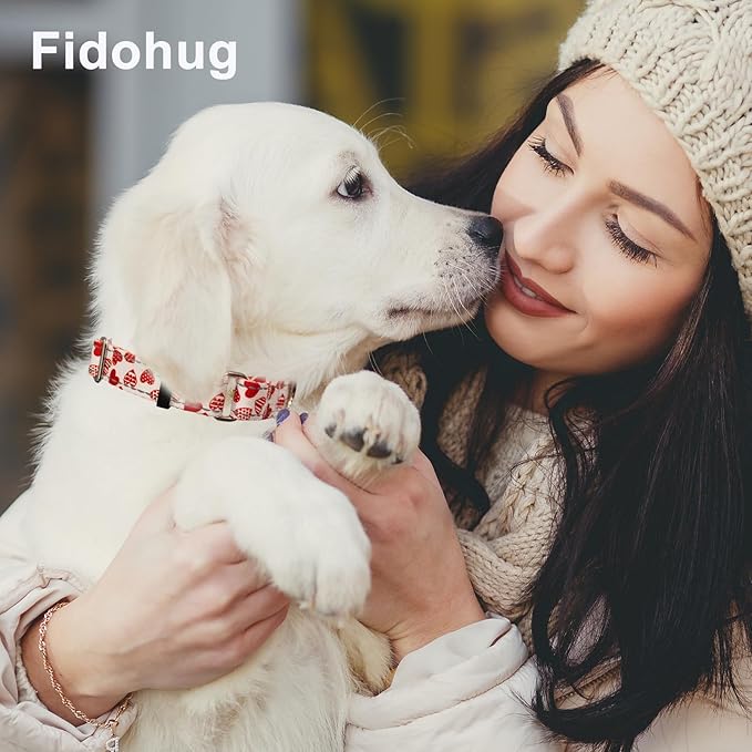 Valentines Reflective Martingale Collar for Dogs with Quick Release Buckle Cute Girl No Pull Dog Collars (Red Heart, XSmall)