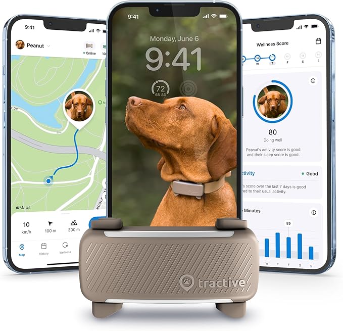 Tractive GPS Dog Tracker (2025 Release) | Real-time Pet Location Tracker | Health & Wellness Alerts | Virtual Fence for Dogs | Bark Monitoring | Dog Collar Attachment (Brown)