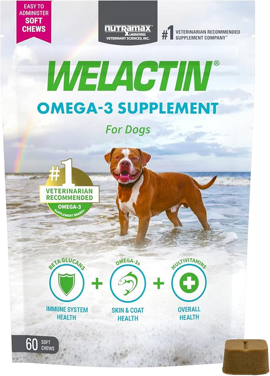 Nutramax Welactin Daily Omega-3 Supplement For Dogs, Skin & Coat Health Plus Overall Health, 60 Soft Chews