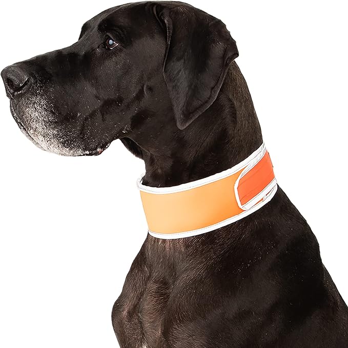 Hi-Vis Dog Cooling Collar - Orange Reflective Re-Freezable Ice Collar (X-Large)
