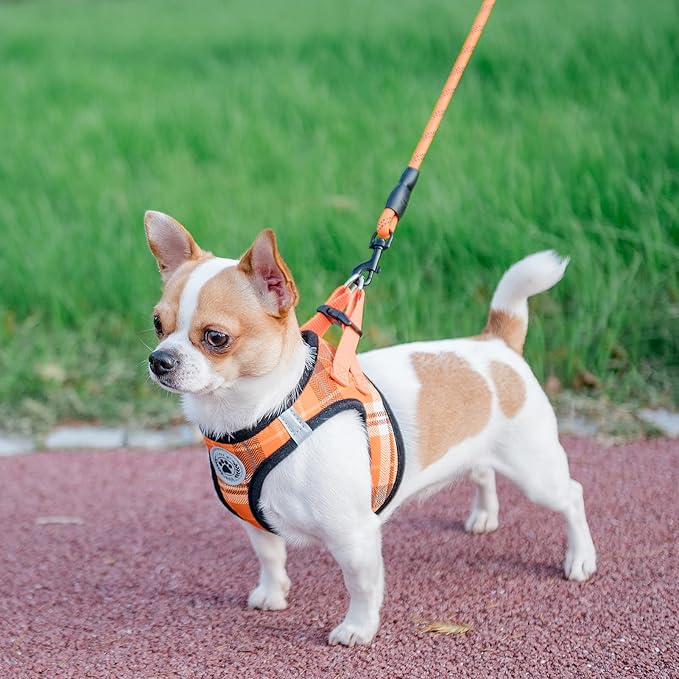BEAUTYZOO Small Dog Harness and Leash Set,Step in No Choke No Pull Soft Mesh Dog Harnesses Reflective for Extra-Small Medium Puppy Dogs and Cats, Plaid Dog Vest Harness for XS S Pets, Orange XS