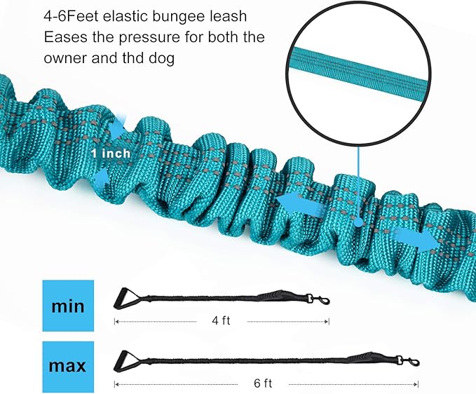 6FT Highly Reflective Heavy Duty Elastic Bungee Medium and Large Dog Leash Shock Absorbing with Comfortable Padded Handle and Traffic Handle Suitable for Training