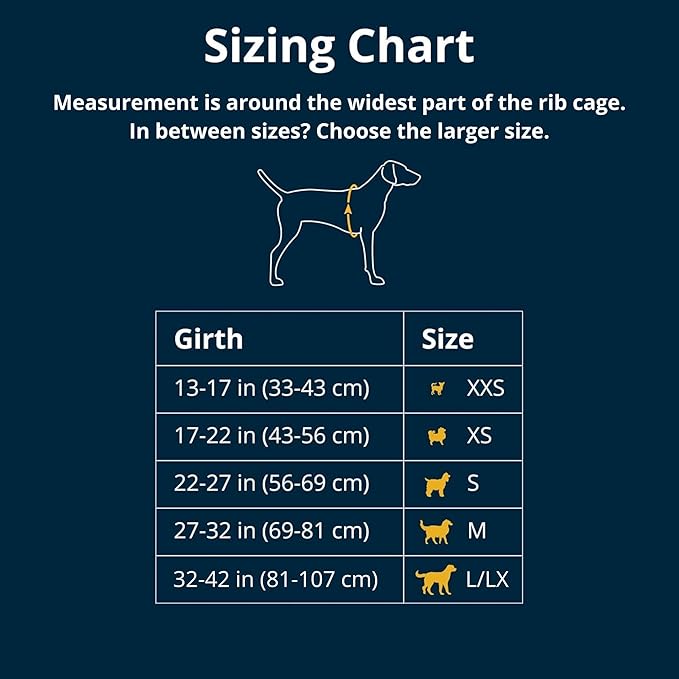 Ruffwear, Front Range Dog Harness, Reflective Soft Padded Everyday Harness with Dual Leash Clips, Adjustable and Lightweight Fit for Training or Walking for All Dogs, River Rock Green, Medium