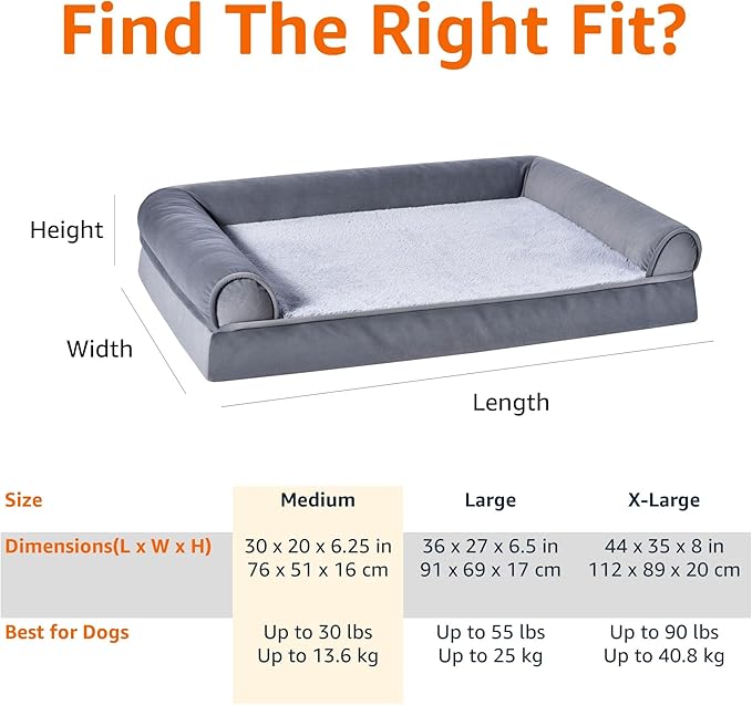 Amazon Basics Foam Living Room Couch Dog Pet Bed with Removable Cover, Grey, 30" x 20"