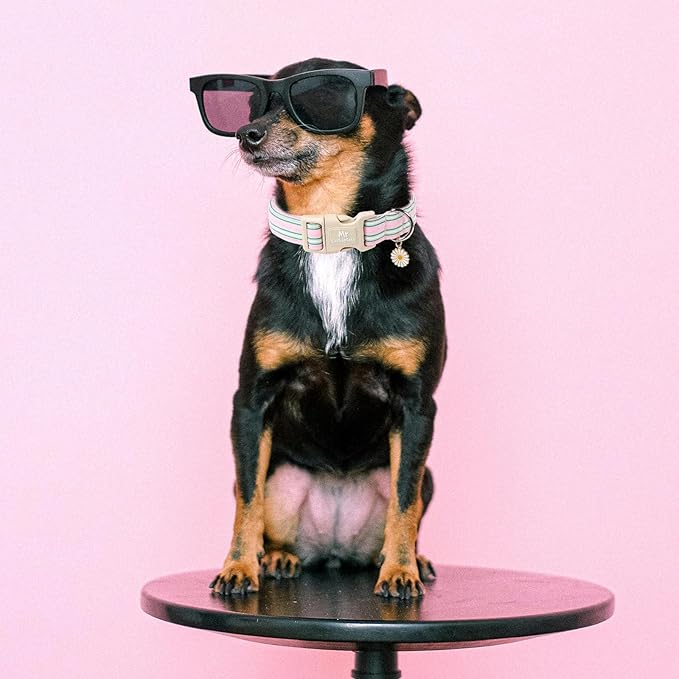 Cotton Dog Collar, Cute Pink Summer Puppy Collar with Plastic Buckle, Adjustable Soft Natural Fabric Pet Collar for Small Medium Large Dogs