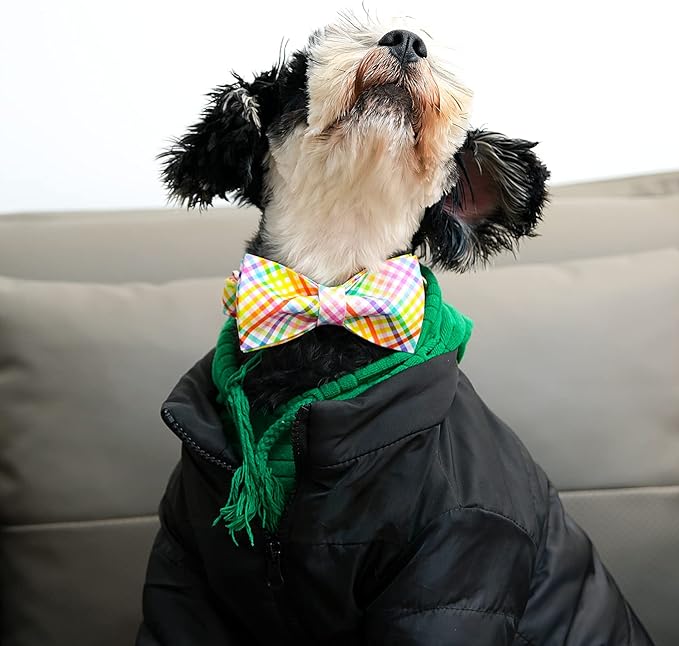 Lionet Paws Easter Dog Collar with Bowtie - Colorful Cute Cotton Bowtie Dog Collar with Metal Buckle for Large Dog Girl Boy, L, Neck 16-24in