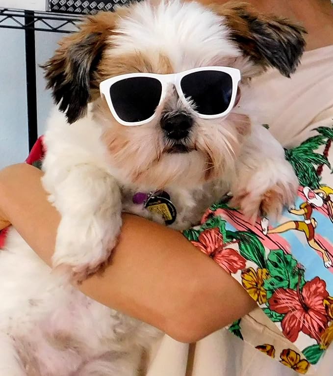 G014 Dog Cat Pet 80s Sunglasses Goggles for Small Breeds up to 15lbs (2-Pack Black+White)