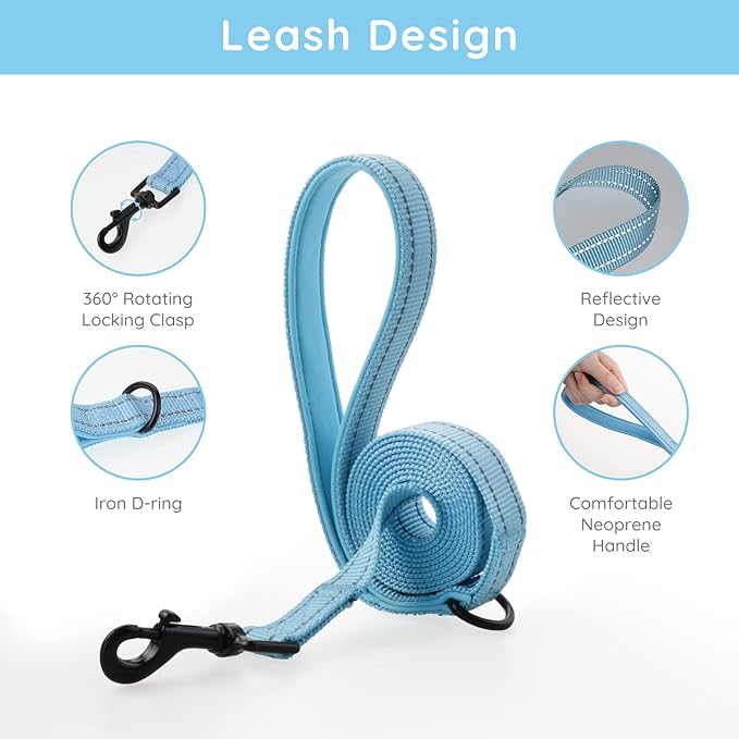 BELLA & PAL Puppy Harness with Leash Set, Dog Harness for Small Dogs No Pull, Dog Leash for Small Dogs, Step in Harness for Extra Small Dogs, Blue Harness, S