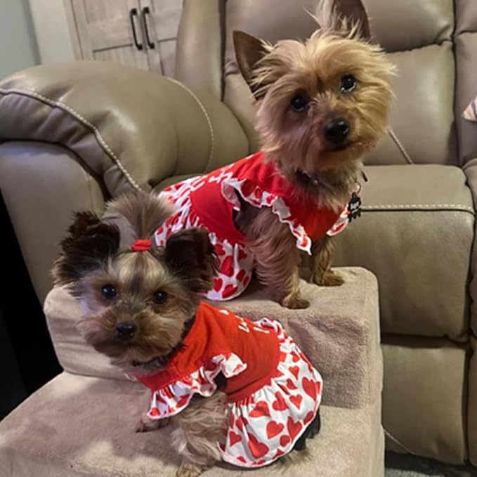 XPUDAC 4 Pieces Dog Dress Girl Clothes for Dogs Girl Flower Dresses for Small Dogs Apparel Colorful Small Dog Clothes Female (Medium, 4 Flower)