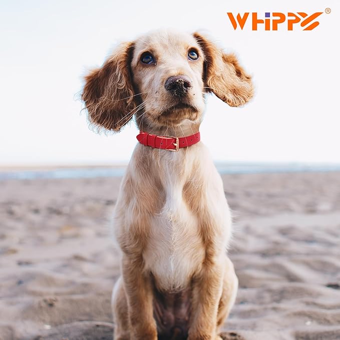 WHIPPY Leather Dog Collar for Small Medium Large Dog Adjustable Soft Breathable Leather Padded Puppy Collar with Alloy Buckle Heavy Duty Waterproof Classic Dog Pet Collar,red,L