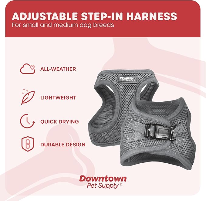Downtown Pet Supply Step in Dog Harness for Small Dogs No Pull, Medium, Light Gray - Adjustable Harness with Padded Mesh Fabric and Reflective Trim - Buckle Strap Harness for Dogs