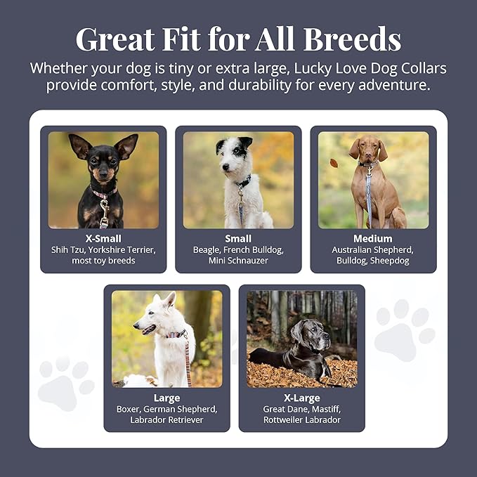 Lucky Love Dog - Easy Click Buckle Dog Collar with Leash Set Combo, Durable & Comfortable Collar for Male & Female Dogs, Pet Collar for Small to Large Dogs, Secure Fit - Pongo Combo, Medium