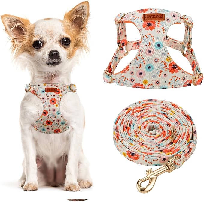 CHEDE No Pull Floral Pattern Dog Harness- Lightweight and Soft Dog Harness, Adjustable Small Dog Harness and Leash Set, with Dog Leash, Suitable for Puppy Small and Medium-Sized Dog