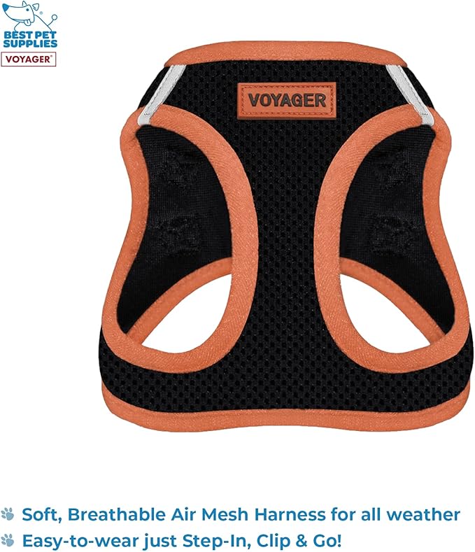 Voyager Step-in Air All Weather Mesh Harness and Reflective Dog 5 ft Leash Combo with Neoprene Handle, for Small, Medium and Large Breed Puppies by Best Pet Supplies - Black, X-Small