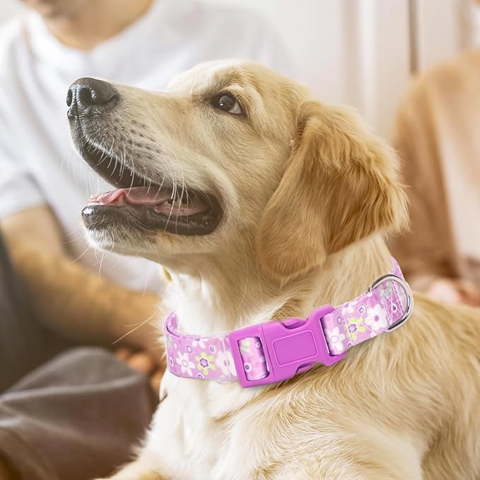 Girl Dog Collar with Purple Floral Patterns, Adjustable Cute Soft Pet Collar with Quick Release Buckle for Small Medium Large XL Dogs (Purple Flower M)