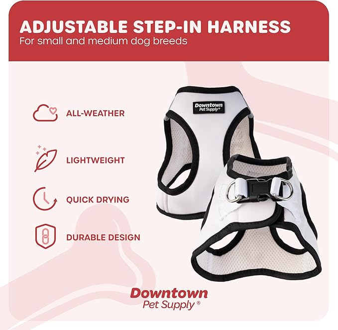 Downtown Pet Supply Step-in Dog Harness for Small Dogs - X-Small, Doodle - Adjustable, No Pull, Reflective Trim, Padded Mesh Fabric, Buckle Strap