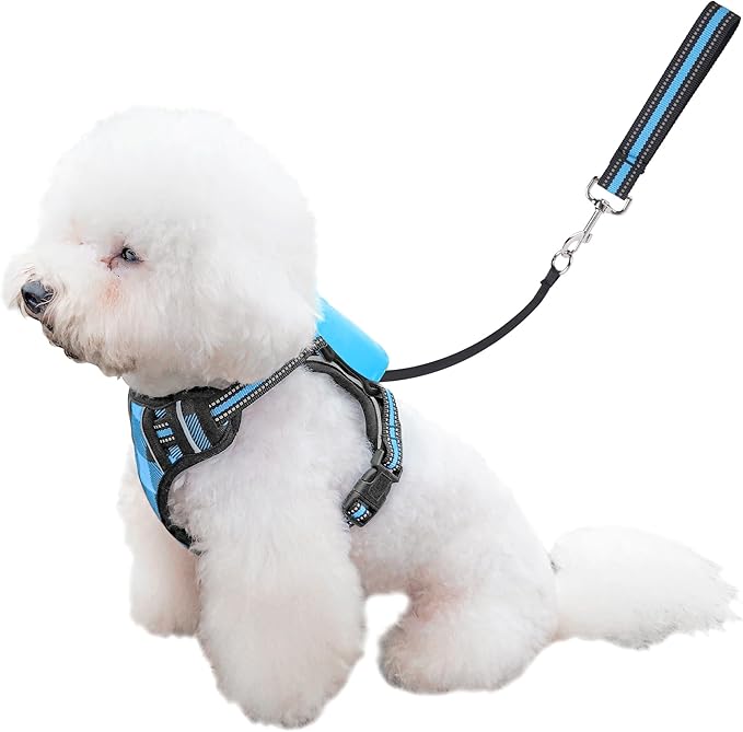 Dog Harness and Leash Set |Dog Vest Harness with 6 ft Multifunction Retractable Dog Leash | with One-Button Control,One-Handed Brake, Tangle Free (M)