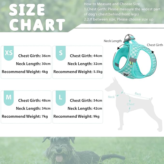 Gyuzh Dog Harness and Leash Set,Soft Mesh Breathable Small Dog Harness,Reflective Adjustable Puppy Harness,No Pull Pet Harness for Small Dogs and Cats