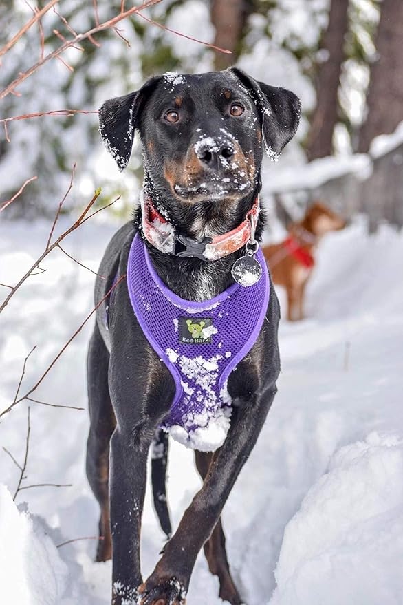 Classic Dog Harness Over The Head No Pull No Choke Design Soft Padded Mesh Breathable Vest for Eco-Friendly Easy Control Walking for Large Breed Dogs (XL, Purple)