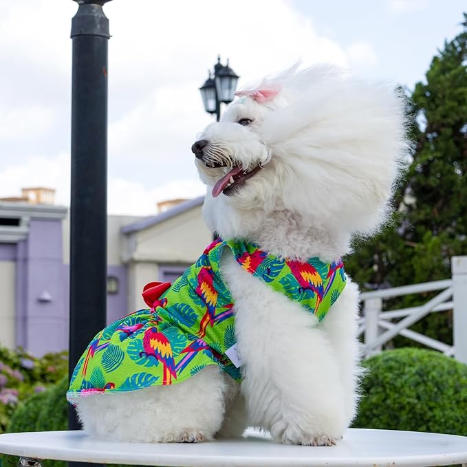 CuteBone Dog Mesh Dress Puppy Sundress Pet Outfit Summer Fashion for Small Dogs Girl Cat Clothes BF24L