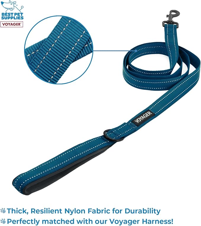 Voyager Step-in Air All Weather Mesh Harness and Reflective Dog 5 ft Leash Combo with Neoprene Handle, for Small, Medium and Large Breed Puppies by Best Pet Supplies - Blue/Black Trim, XXX-Small