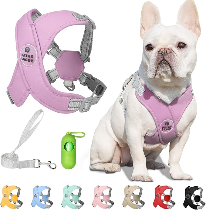 Patas Lague Dog Harness with Leash Set Adjustable Soft Padded Step-in Dog Vest No Choke No Pull Reflective for Medium Pets with Poop Bags and Dispenser, Solid and No-chew, Purple L