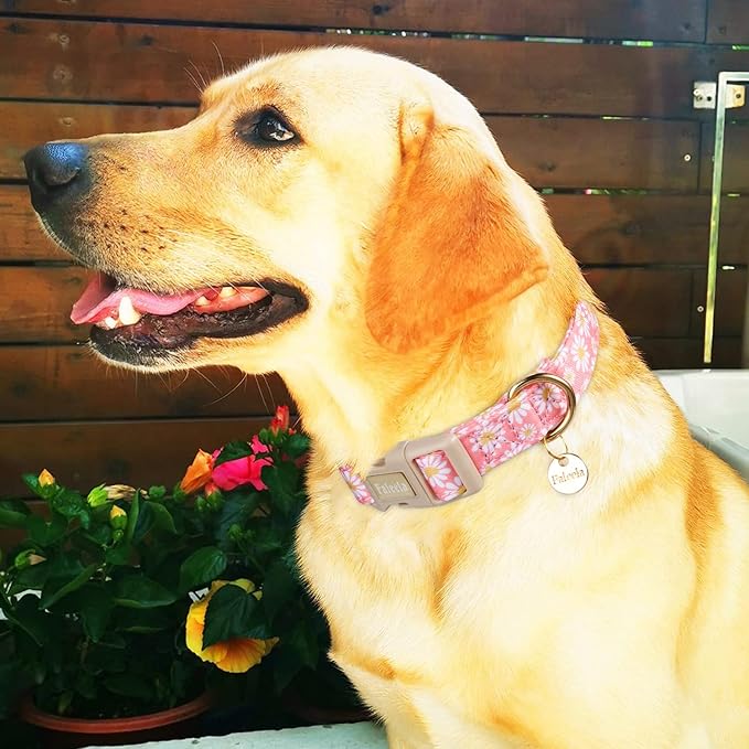Faleela Dog Collar - Cute & Comfy Cotton Pet Collar, Adjustable Lightweight Design with Quick-Release Buckle, for Small, Medium & Large Dogs - Multiple Styles Available (Pink Flower, Medium)