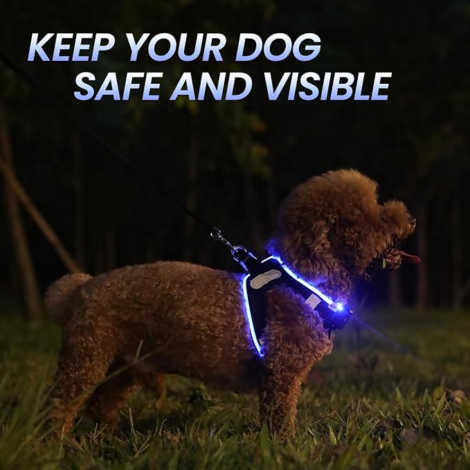 PceoTllar Light Up Dog Harness, LED No Pull Reflective Dog Harness, Flashing Lighted for Night Walking - Small/Medium, (Black Blue,xs)